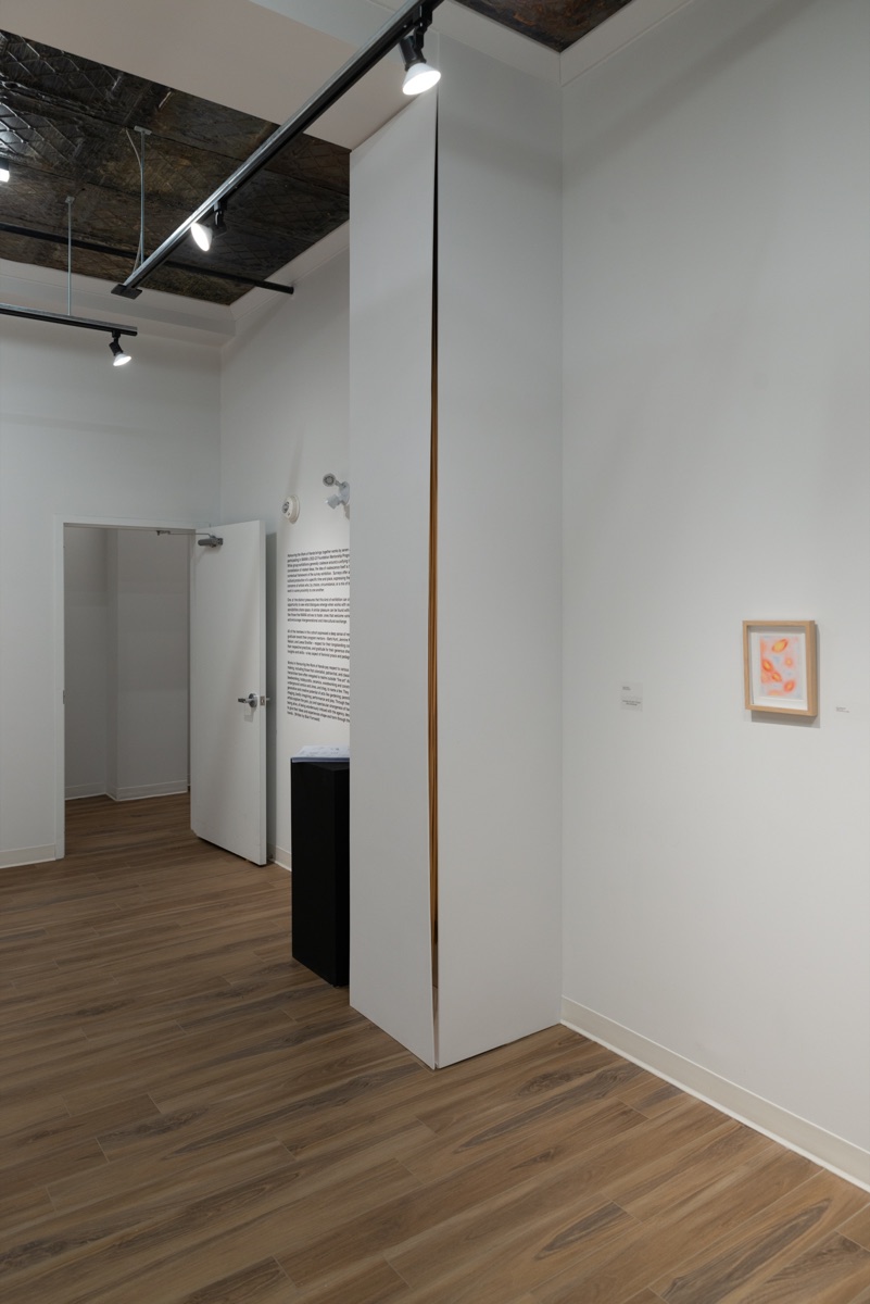 Installation view of Ibrahim Shuaib's work in the gallery